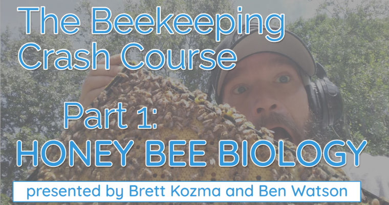 Honey Bee Biology – B&K Bees Beekeeping Crash Course – Part 1 Slideshow Presentation