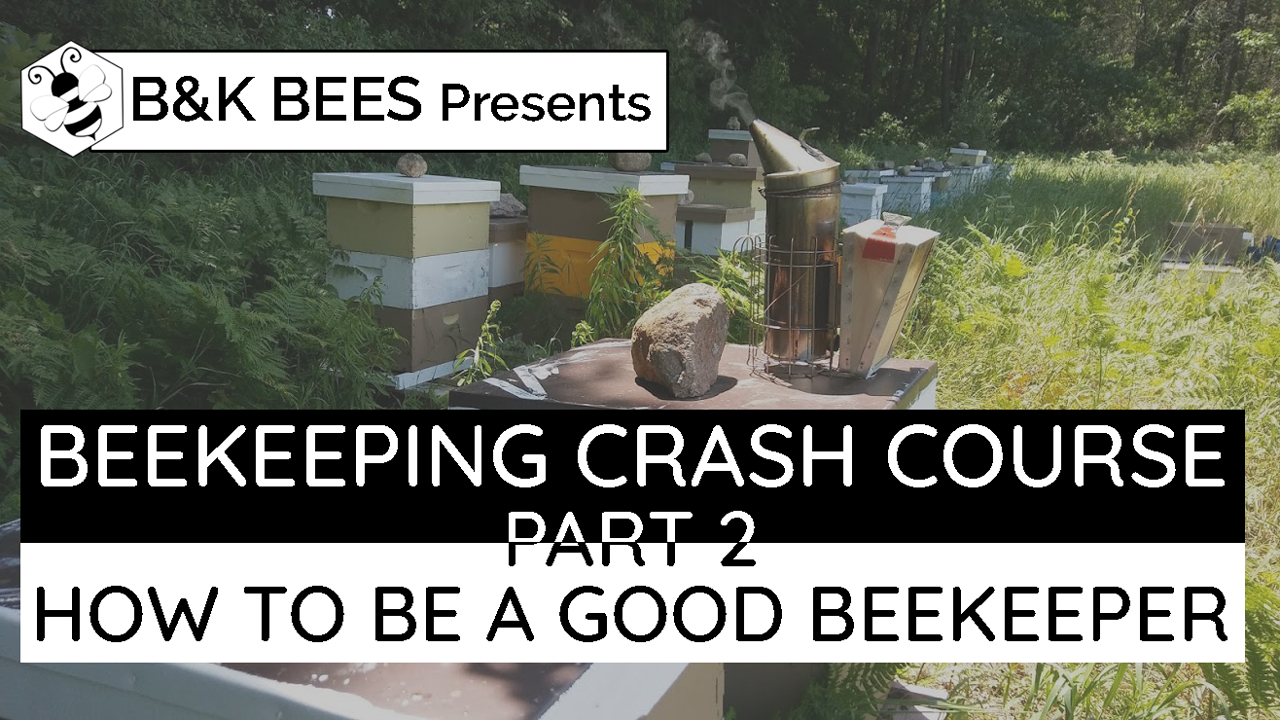 Beekeeping Basics – B&K Bees Beekeeping Crash Course Part 2 – Slideshow Presentation